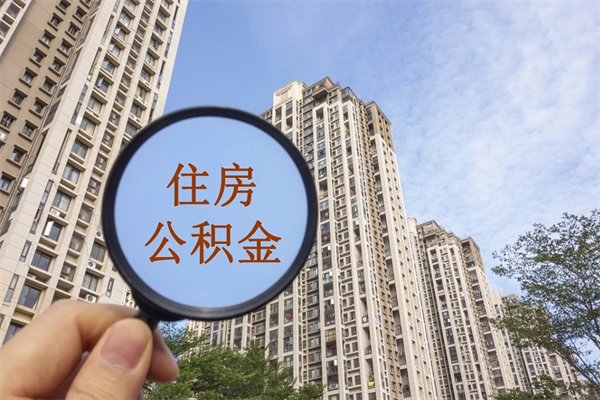 河南离职后公司不给转公积金怎么办（离职后公司不给转社保怎么办）